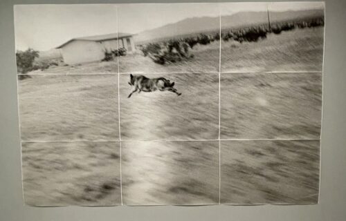 John Divola @ICP