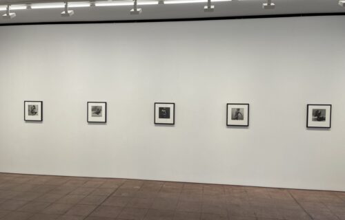 Rotimi Fani-Kayode: Forest of Metaphor @Hales