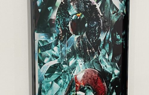 Diane Severin Nguyen @Matthew Brown
