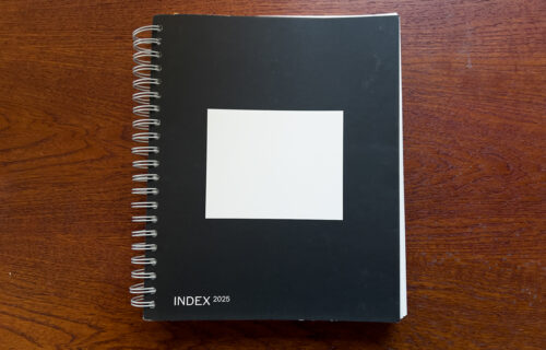 Stanley Wolukau-Wanambwa, INDEX 2025