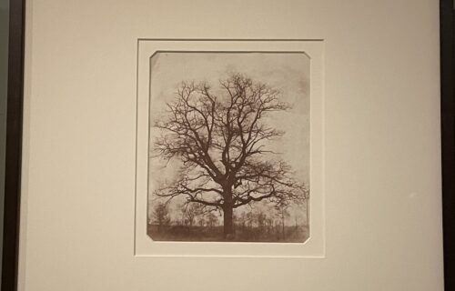 William Henry Fox Talbot @Hans Kraus