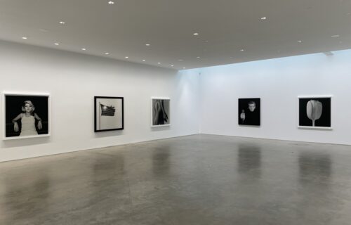 Robert Mapplethorpe @Gladstone