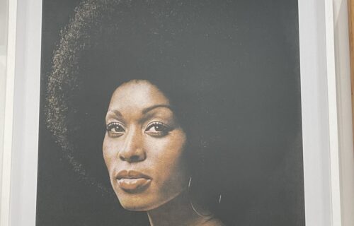 Hank Willis Thomas @Studio Museum