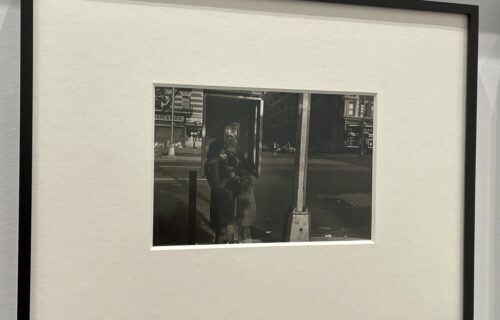 Ming Smith @Studio Museum