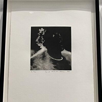 Lyle Ashton Harris @Studio Museum