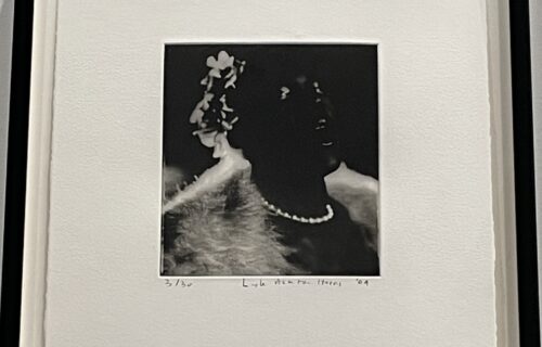 Lyle Ashton Harris @Studio Museum