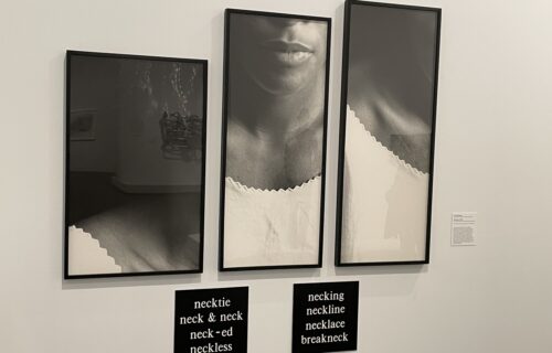Lorna Simpson @Studio Museum