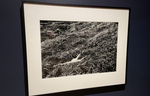 Daido Moriyama @FLAG Art Foundation