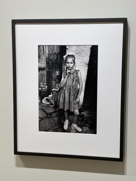 Gallery: Howard Greenberg Gallery | Collector Daily