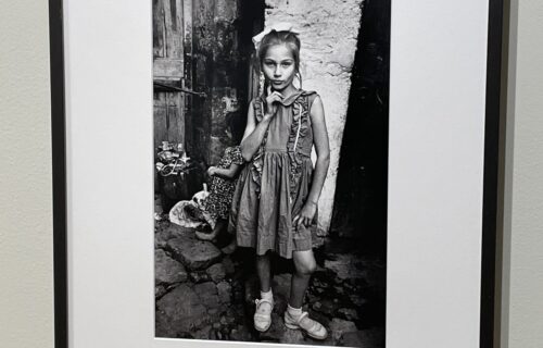 Gallery: Howard Greenberg Gallery | Collector Daily