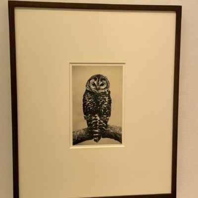 Masao Yamamoto @Yacey Richardson