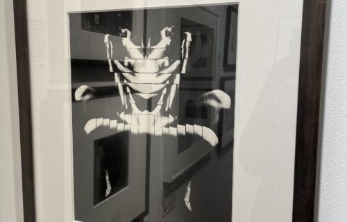 Highlights from the 2026 AIPAD Photography Show, Part 2 of 2