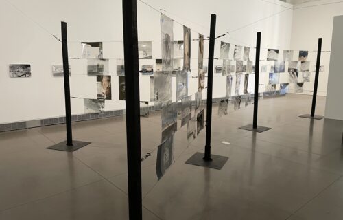 Fia Backström, The Great Society @Queens Museum