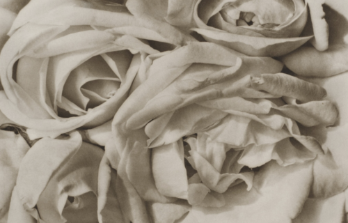 Auction Results: Prints & Photographs Part I and Photographs Part II (online), April 14 and 16, 2026 @Sotheby’s