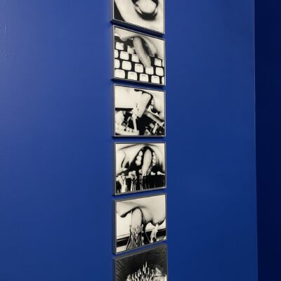 Lenora de Barros @New Museum