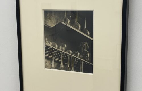 Alma Lavenson @Deborah Bell