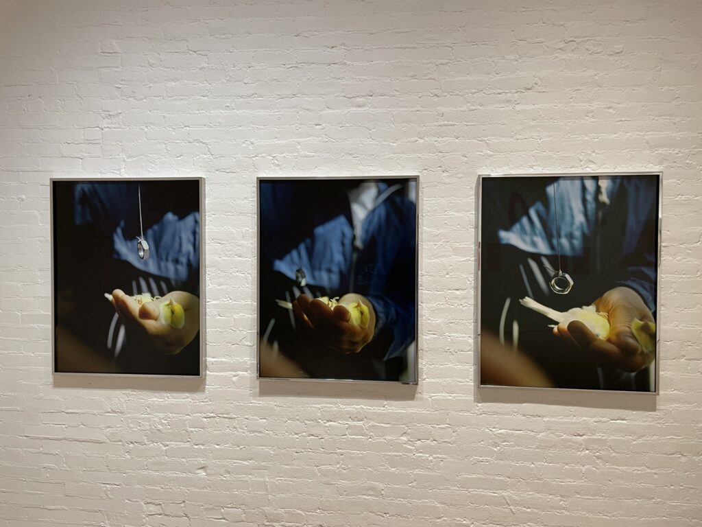 Photography in Greater New York 2026 @MoMA PS1 | Collector Daily