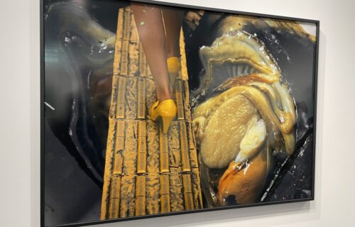 Photography Highlights from the 2026 Independent Art Fair