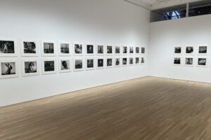 Peter Hujar, The Gracie Mansion Show @Ortuzar