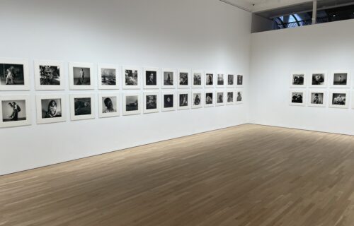 Peter Hujar, The Gracie Mansion Show @Ortuzar