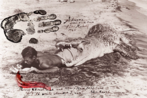 Auction Results: Photo Auction Spring 2026, May 28, 2026 @OstLicht