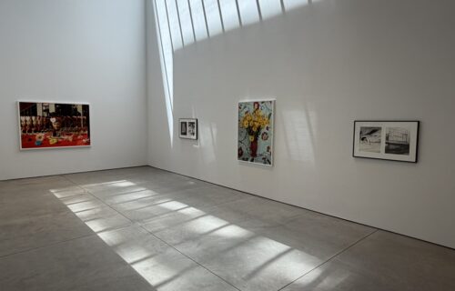 Nobuyoshi Araki and Roe Ethridge @Anton Kern