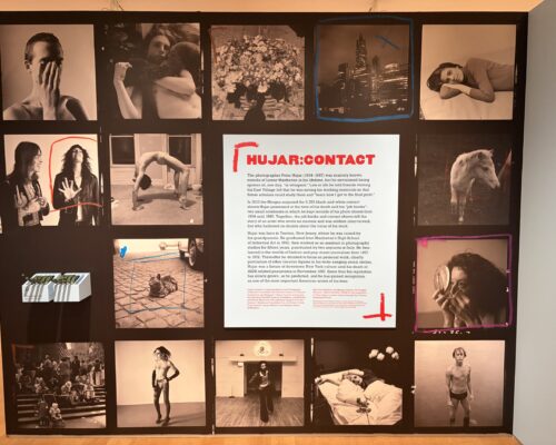 Hujar:Contact @Morgan Library