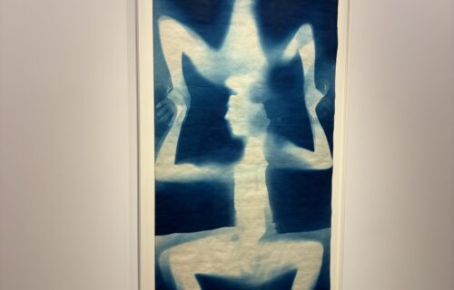 Robert Rauschenberg/Susan Weil @Gagosian