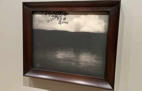 Edward Steichen @MoMA