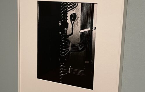 Minor White @MoMA