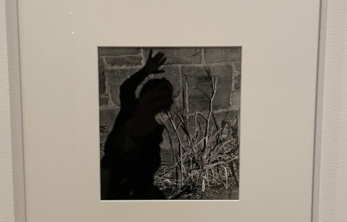 Ilse Bing @MoMA