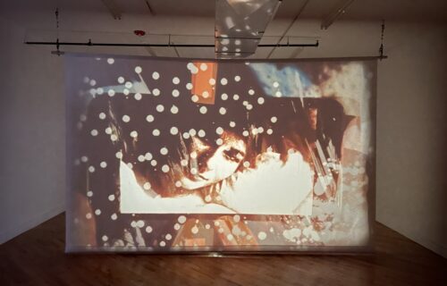 Carrie Schneider @David Peter Francis