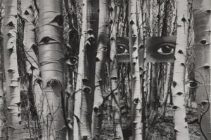 Auction Results: Photography – The Margulies Collection, Part II, June 5, 2026 @Lempertz