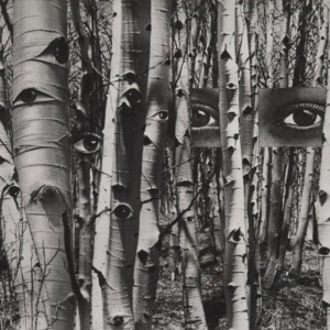 Auction Results: Photography – The Margulies Collection, Part II, June 5, 2026 @Lempertz