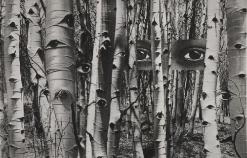 Auction Results: Photography – The Margulies Collection, Part II, June 5, 2026 @Lempertz