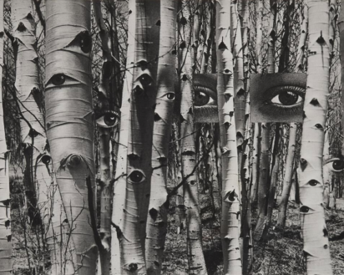 Auction Results: Photography – The Margulies Collection, Part II, June 5, 2026 @Lempertz