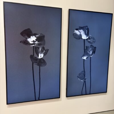 Michal Rovner @Jewish Museum