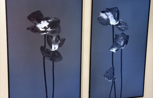 Michal Rovner @Jewish Museum