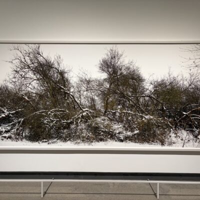 Thomas Struth @Met