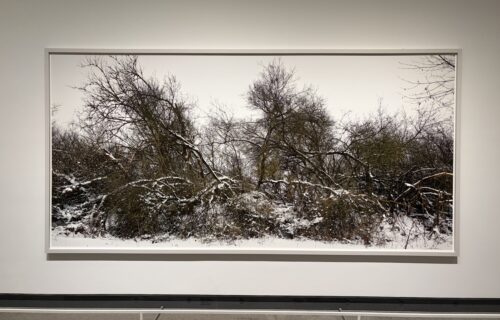Thomas Struth @Met