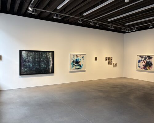 Matt Saunders, On an Overgrown Path @Marian Goodman