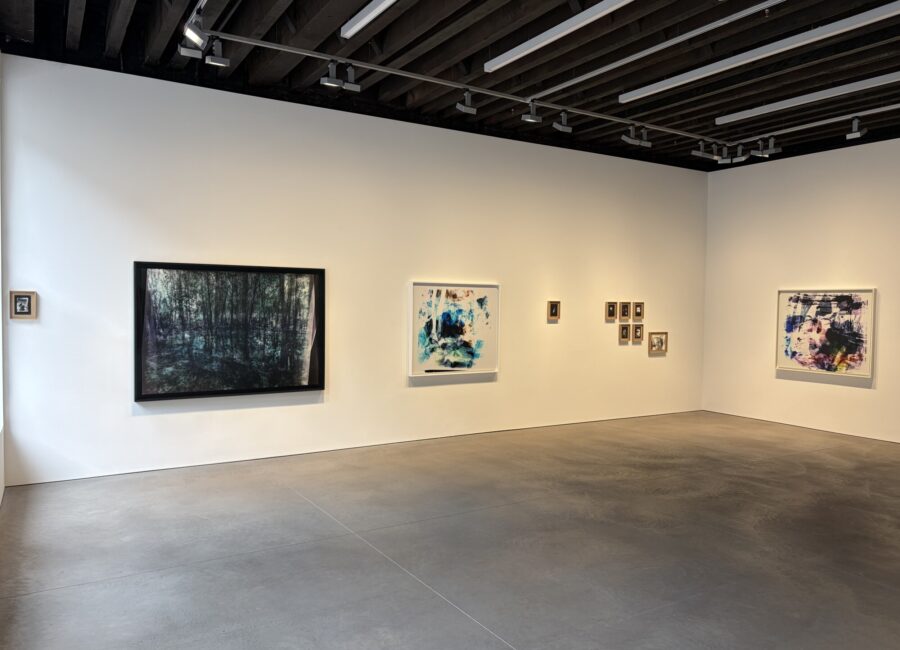 Matt Saunders, On an Overgrown Path @Marian Goodman