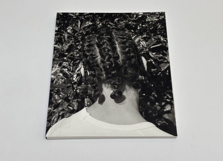 Farren van Wyk, Mixedness is My Mythology