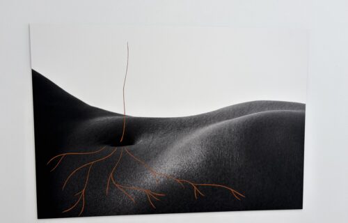 Binta Diaw @Andrew Kreps