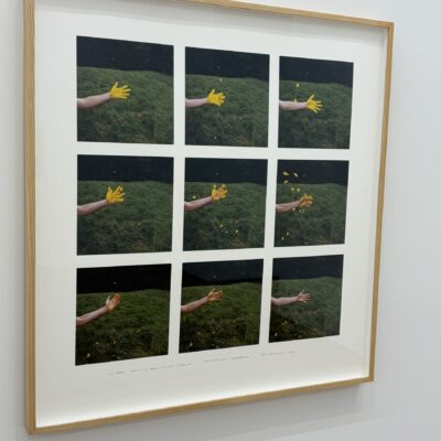 Andy Goldsworthy @Andrew Kreps