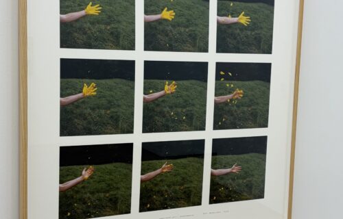 Andy Goldsworthy @Andrew Kreps