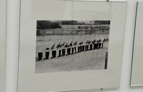 Eleanor Antin @Andrew Kreps