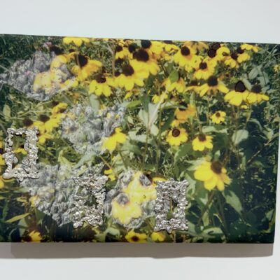 Emma Safir @Hesse Flatow