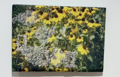 Emma Safir @Hesse Flatow