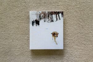 Sohrab Hura, Snow